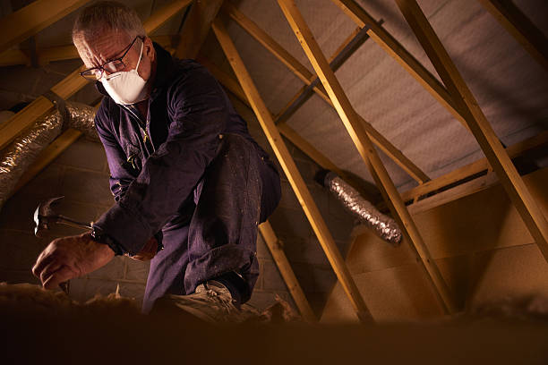 Types of Insulation We Offer in Pomeroy, WA